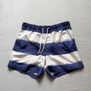 American Eagle Outfitters Navy and White Swim Trunks